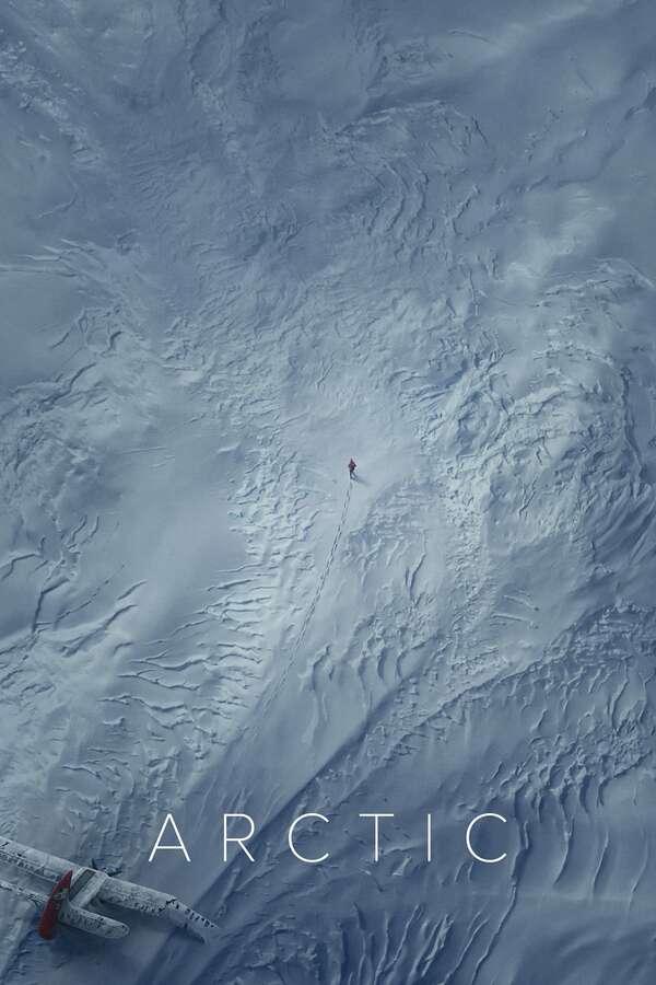 Poster for Arctic (2018)
