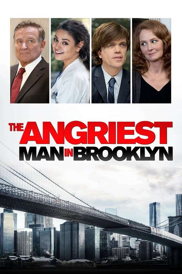 Poster for The Angriest Man in Brooklyn (2014)