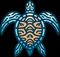 Coaching Turtle Logo